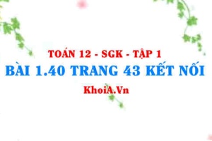 Bài 1.40 trang 43 Toán 12 tập 1 Kết nối tri thức